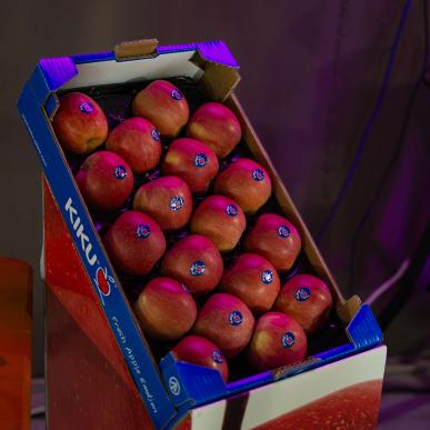 Skitestwoche 2024 - Tag 3