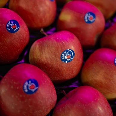 Skitestwoche 2024 - Tag 3